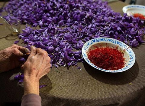 زعفران صادراتی با استاندارد های بین‌ المللی و کیفیت بالا